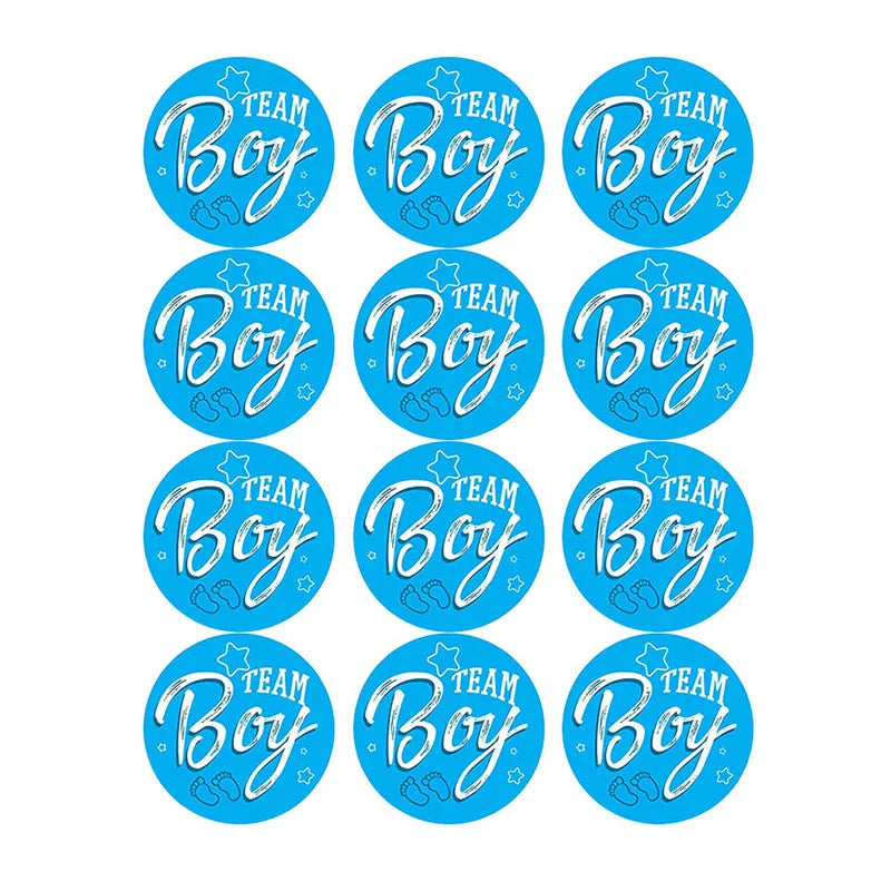 60/120 Gender Reveal Stickers – Team Boy or Team Girl Labels for Baby Shower Decorations and Gift Boxes