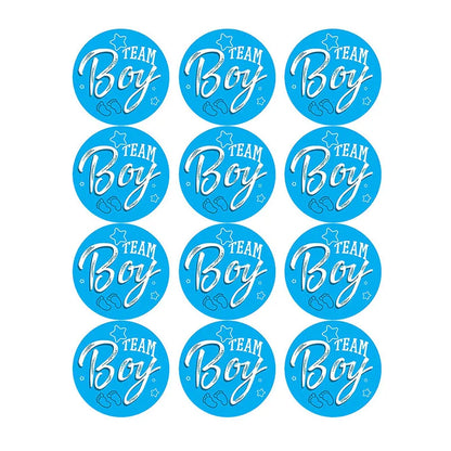 60/120 Gender Reveal Stickers – Team Boy or Team Girl Labels for Baby Shower Decorations and Gift Boxes