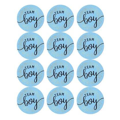 60/120 Gender Reveal Stickers – Team Boy or Team Girl Labels for Baby Shower Decorations and Gift Boxes