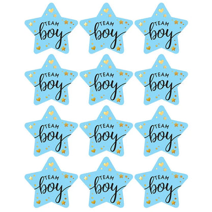 60/120 Gender Reveal Stickers – Team Boy or Team Girl Labels for Baby Shower Decorations and Gift Boxes